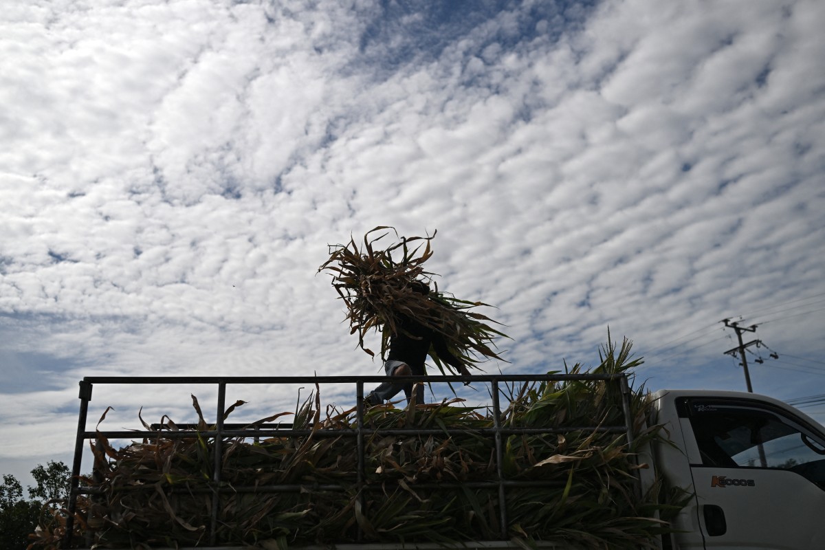 Ecuador declares emergency over El Nino