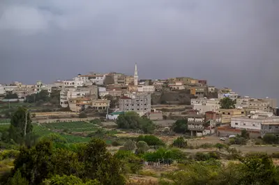 "الأرصاد": أمطار على 4 مناطق ورياح في الرياض