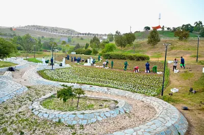 السماح بـ12 نشاطاً تجارياً داخل الحدائق العامة