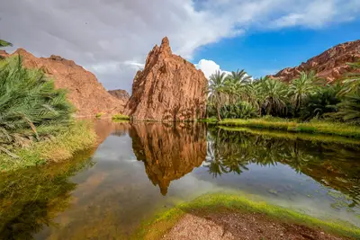 2.5 مليون زائر يعززون مكانة حائل السياحية في 2025