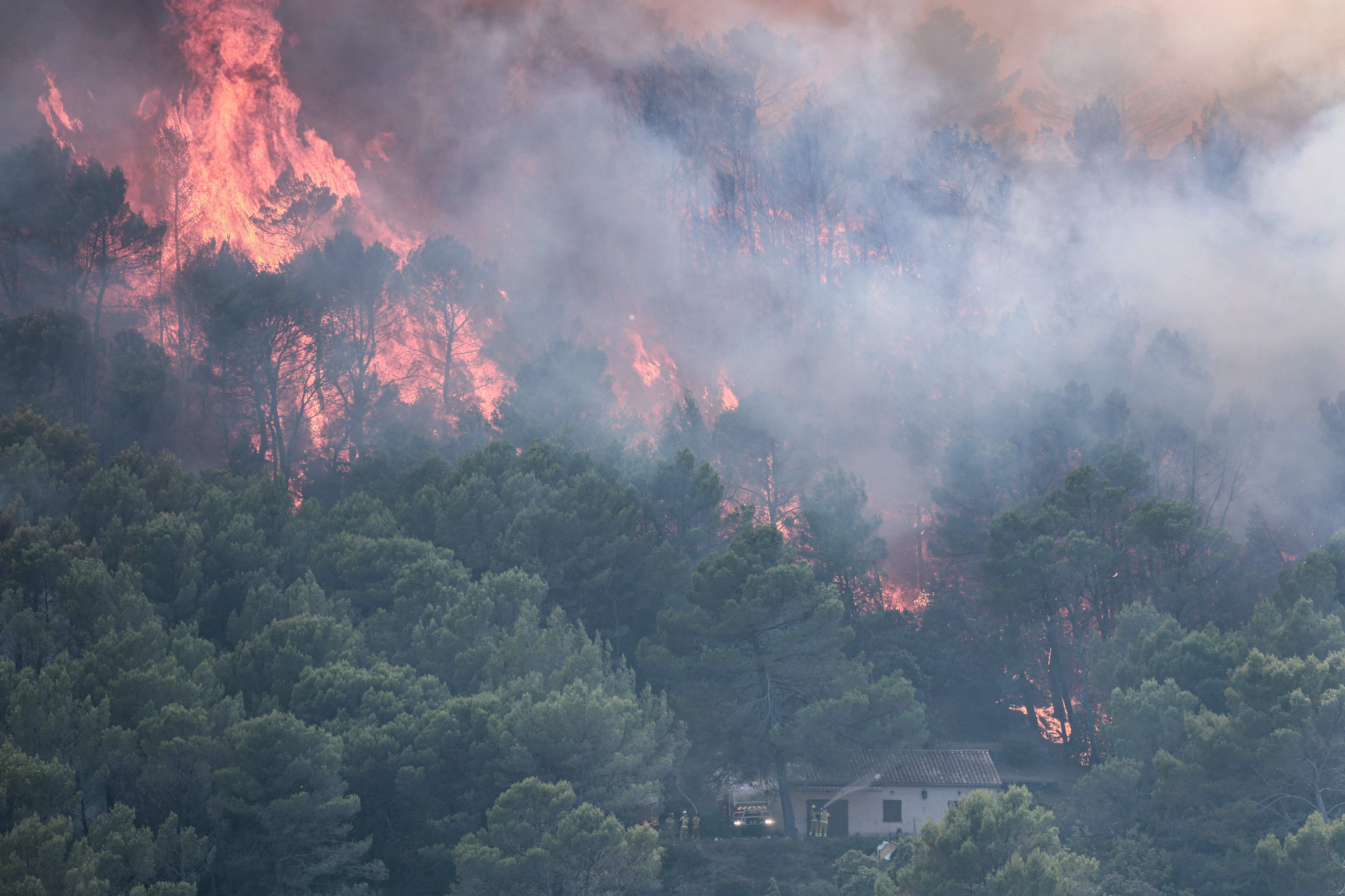August hottest month ever recorded globally: EU monitor