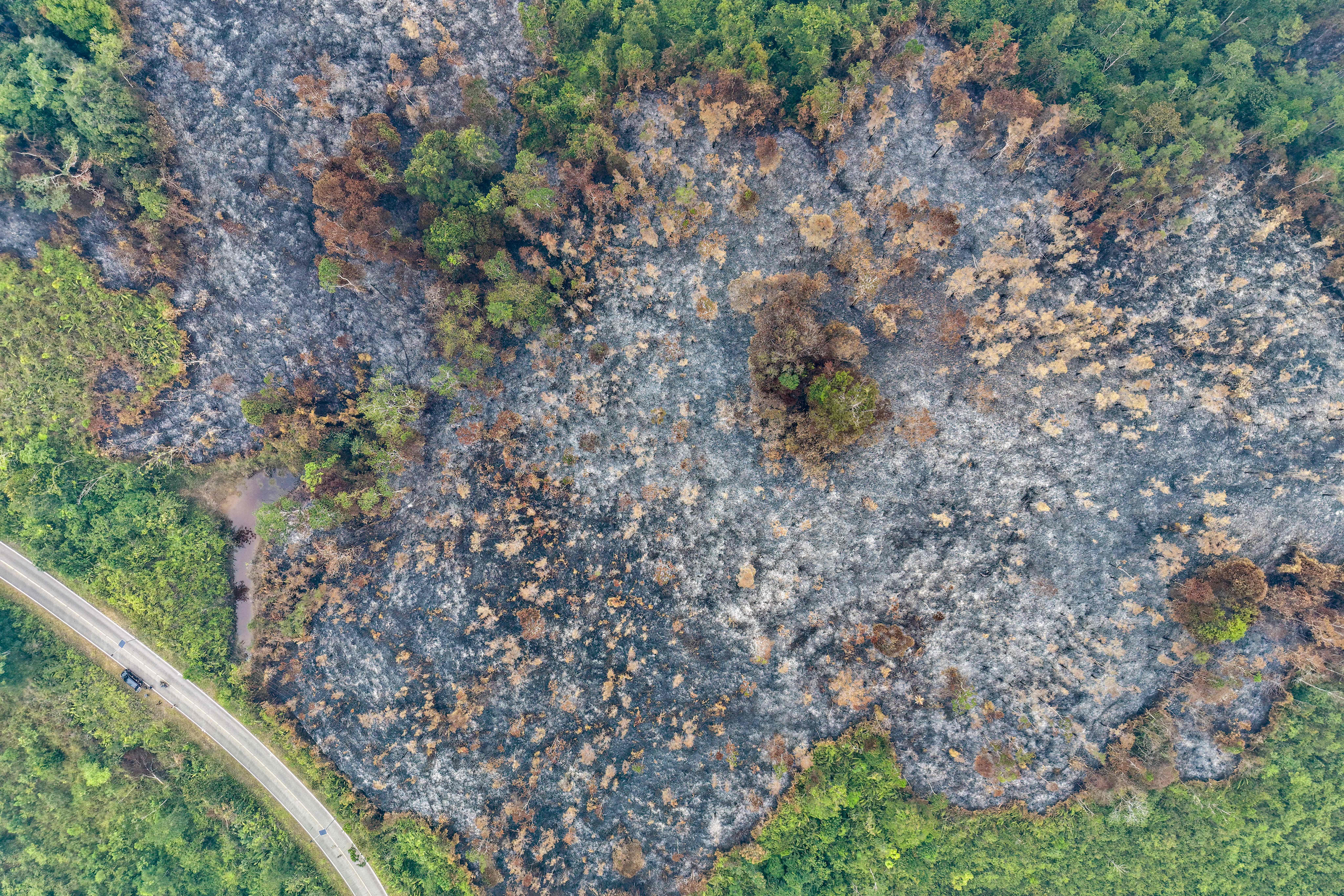 Japan deploys equipment to Indonesia’s Borneo to help fight wildfires causing toxic haze