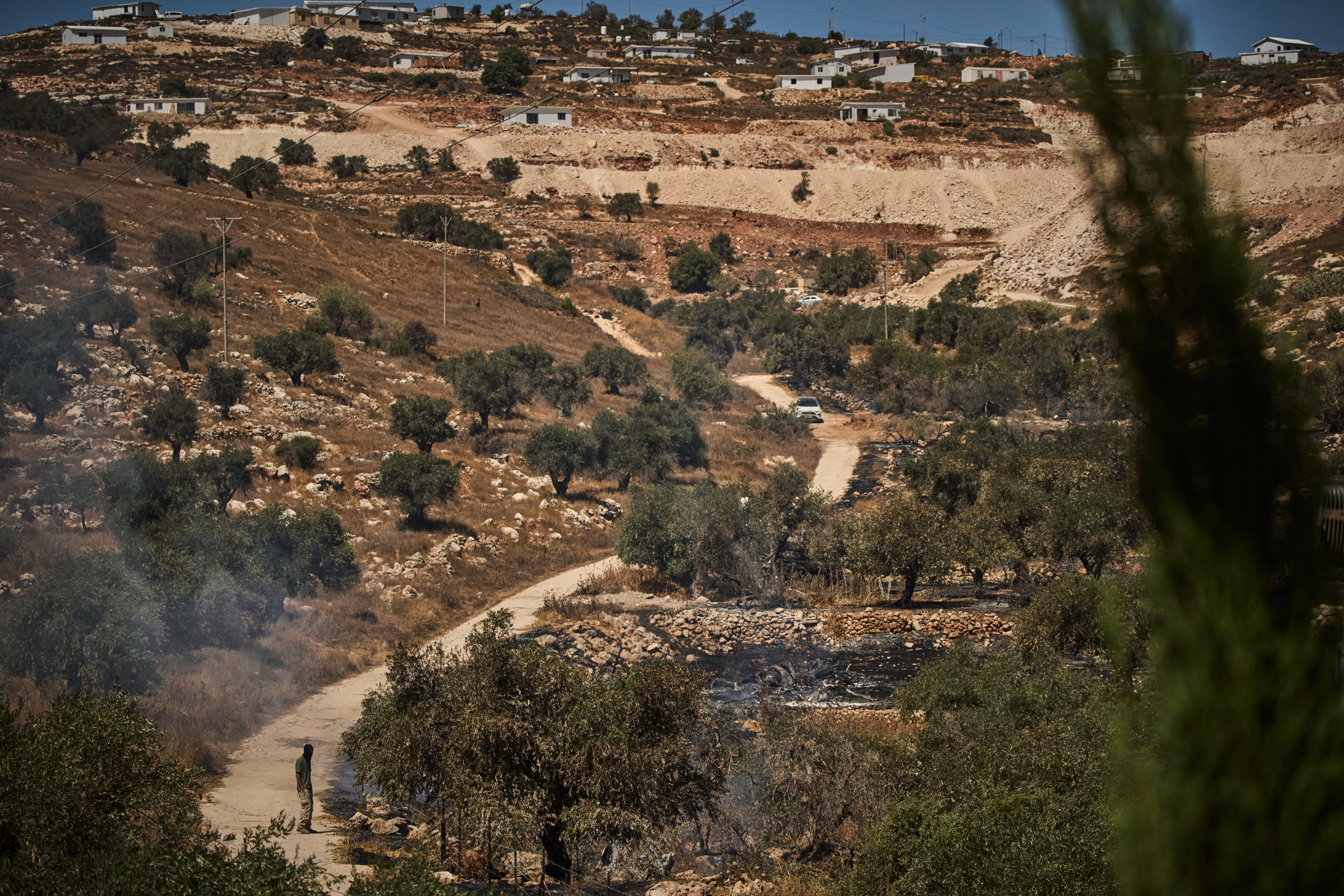Israeli settlers set olive groves on fire in West Bank, say Palestinian residents