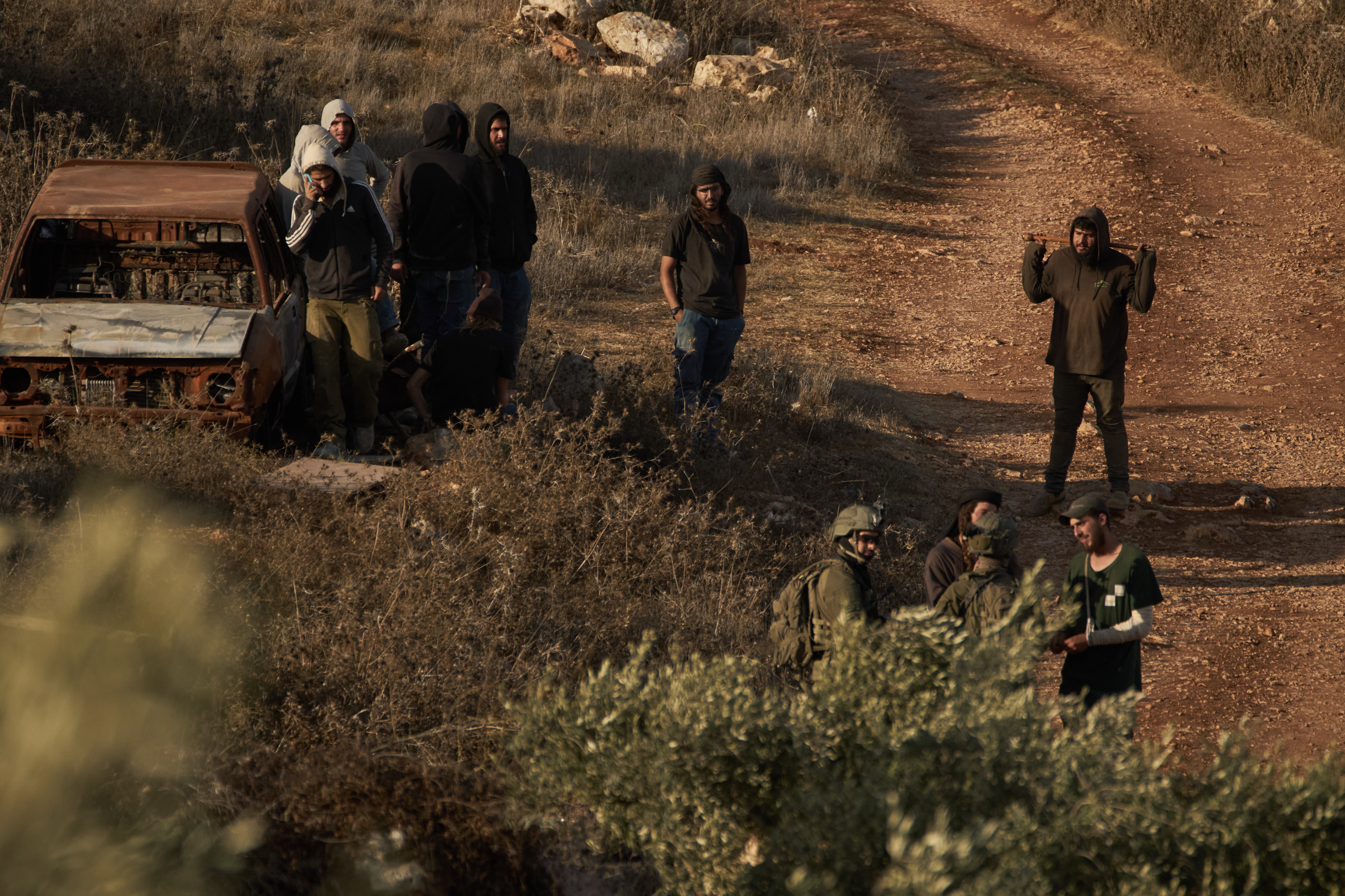 Israeli forces detain, interrogate 95 Palestinians amid West Bank olive harvest, prisoner advocacy group says