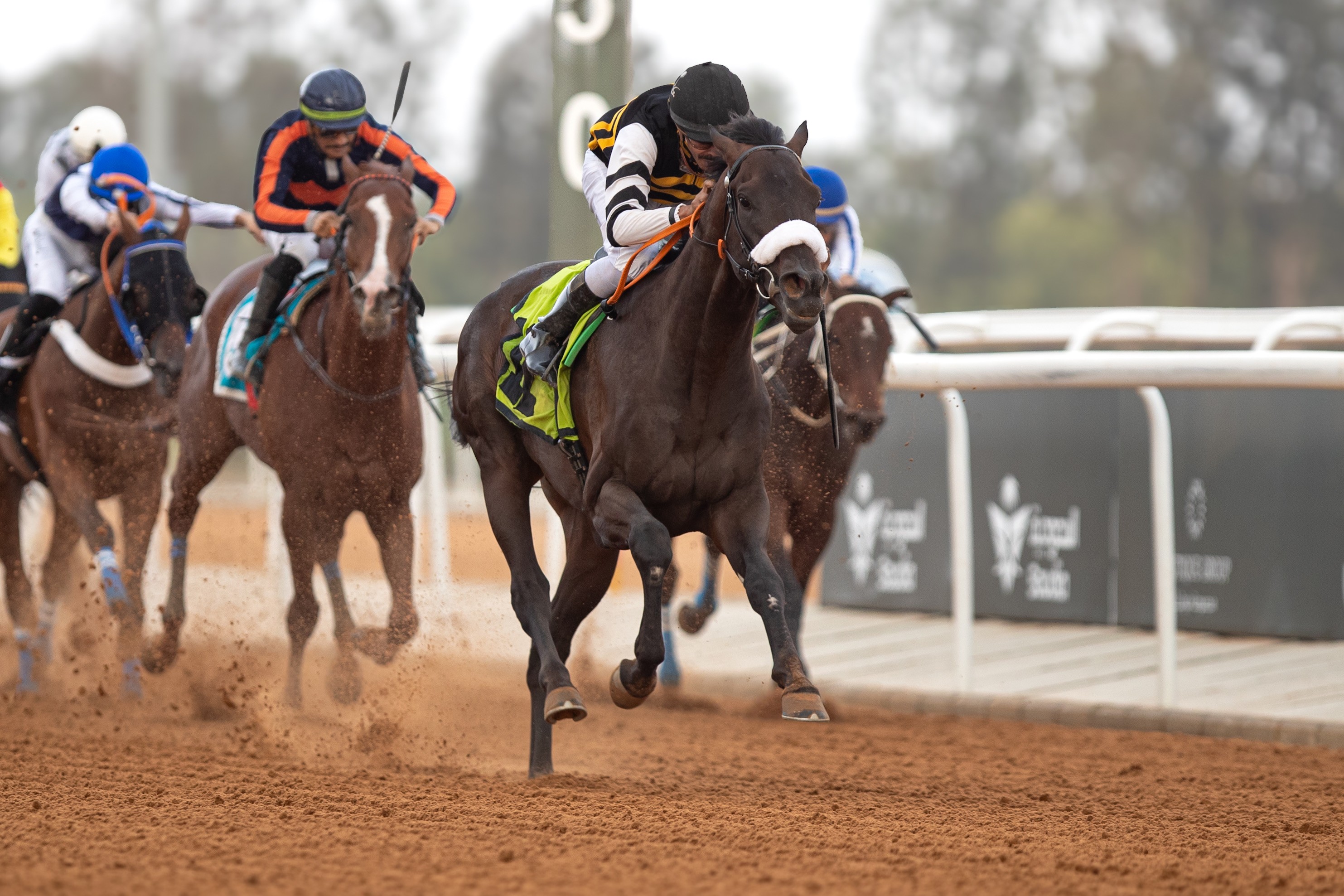 2.8 مليون ريال.. جوائز الأسبوع التاسع لسباقات الخيل بالطائف