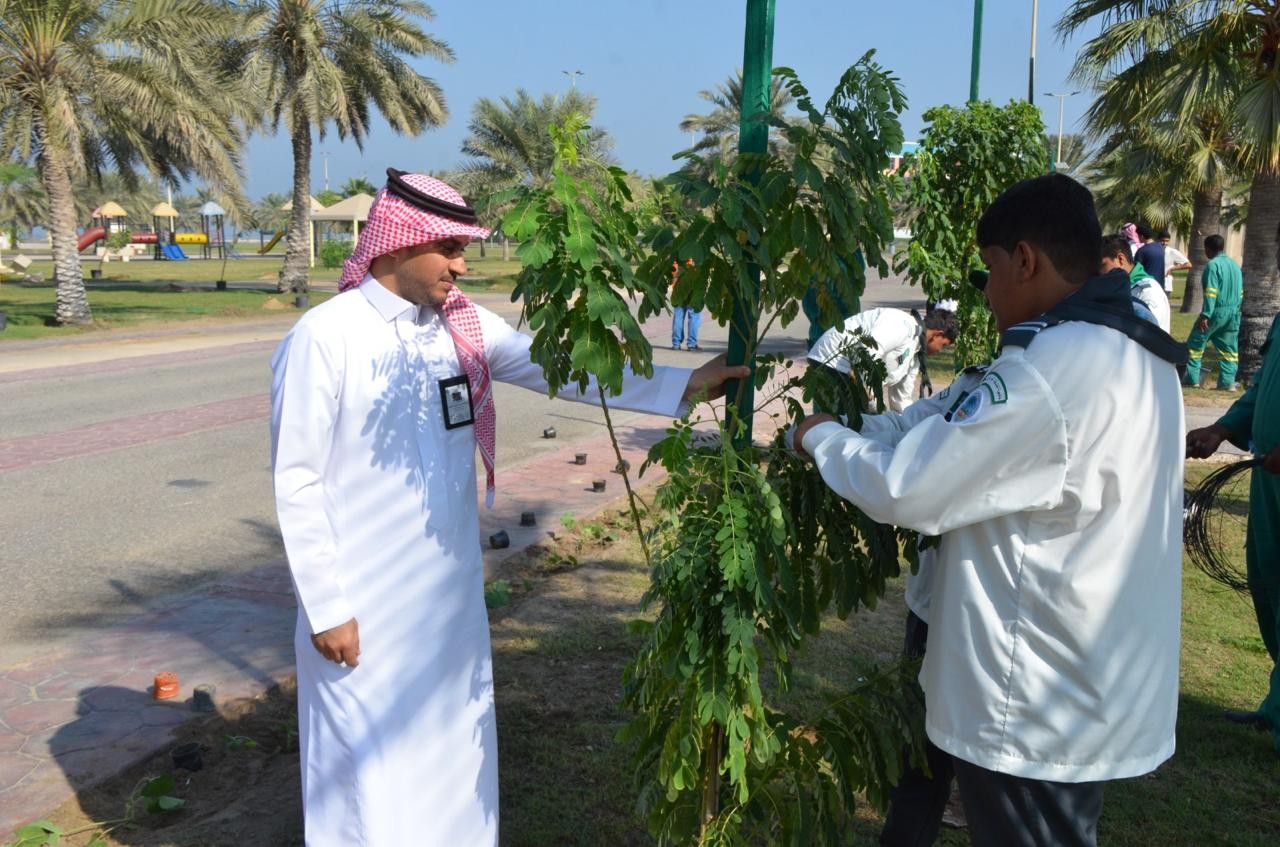 مبادرة لتشجير الحدائق العامة بمشاركة 400 طالب بالشرقية